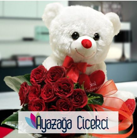 Ayicikli gül-ayz-9922