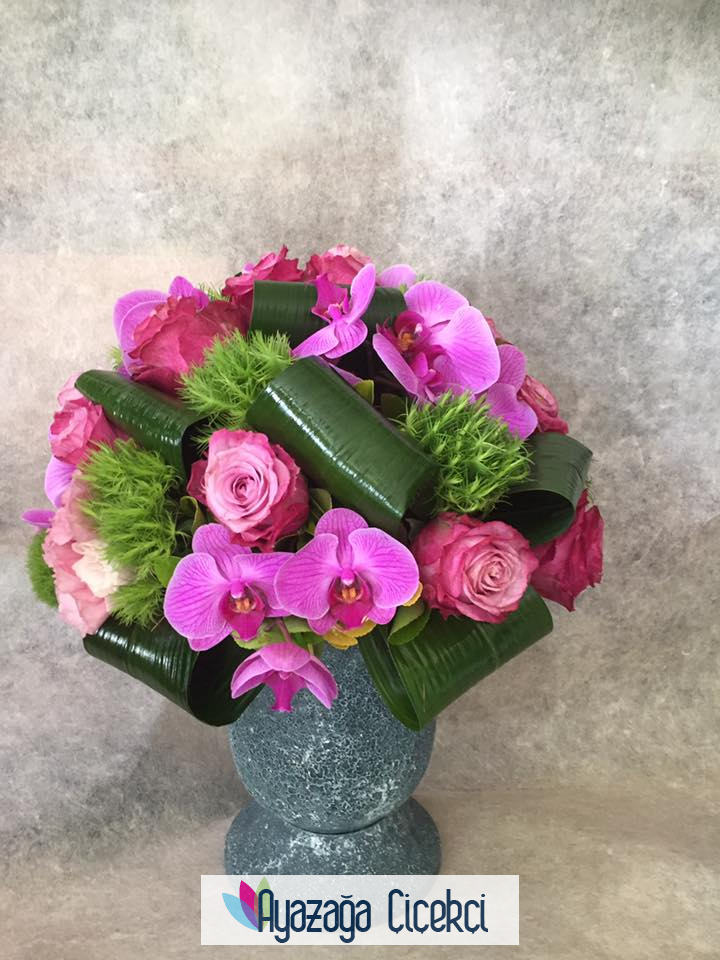 Butik  arajman-an-1981