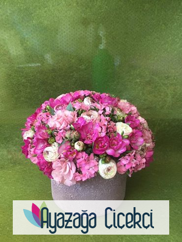 Butik arajman-ask-039024