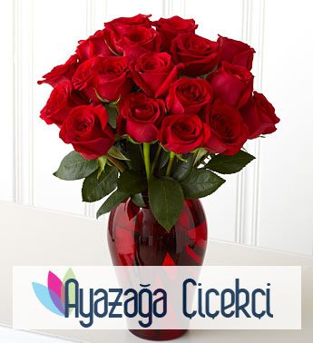 Gül arajmani-ayz-02910