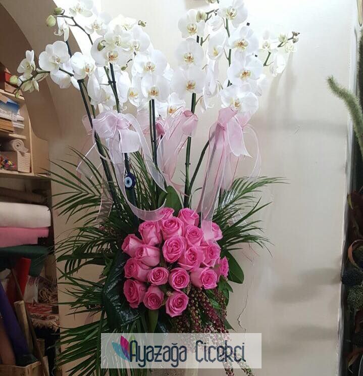 Orkde saksi beyaz-or-02