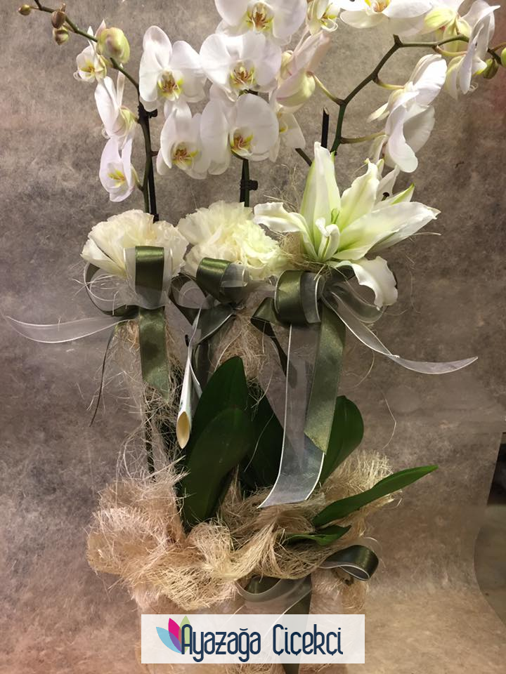 Orkide  Seramikli-ask-0334