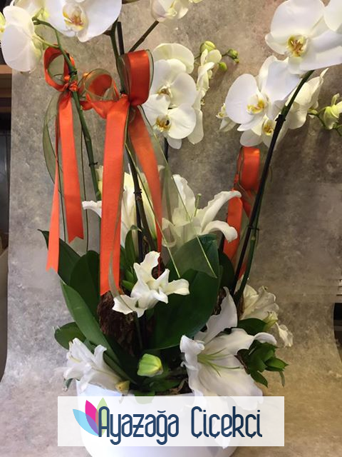 Orkide  Seramikli-ask-102