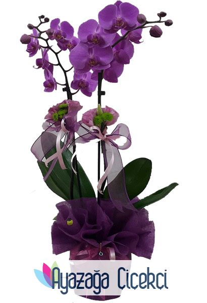 Orkide  Seramikli-ayz-0034