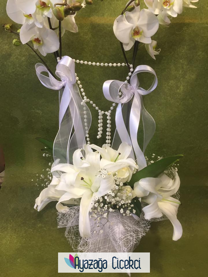 Orkide  Seramikli-sev-0123